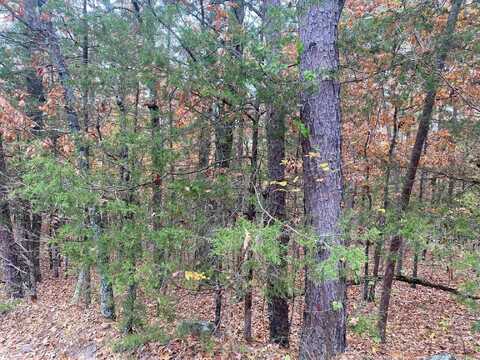 Lot 70 Cedar Valley Rd, Fairfield Bay, AR 72088