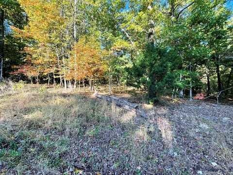 603 W Tongie Point, Horseshoe Bend, AR 72512