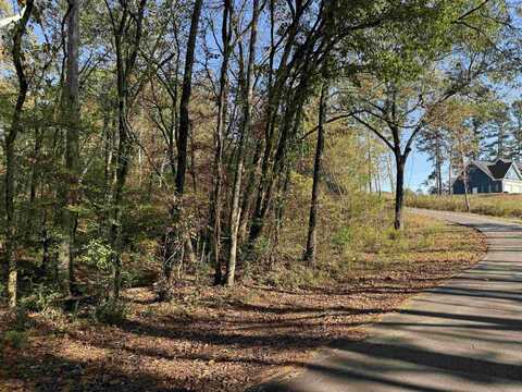 5.1 Acres MCGEE ROAD, Benton, AR 72019