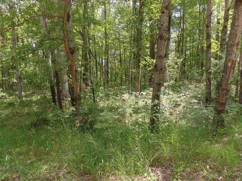 Lot 473 Deerwood, Roscommon, MI 48653