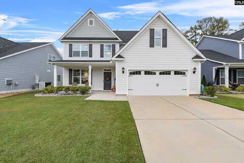 320 Brenthaven Drive, Chapin, SC 29036