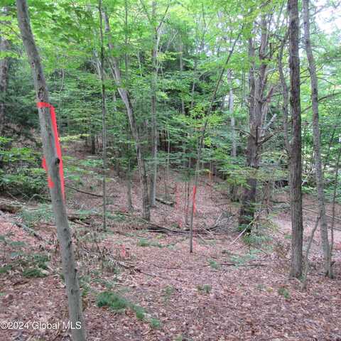 L16 Barker Road, Edinburg, NY 12134