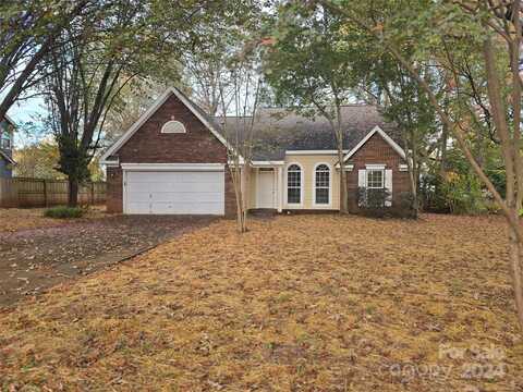 9109 Agnes Park Lane, Huntersville, NC 28078