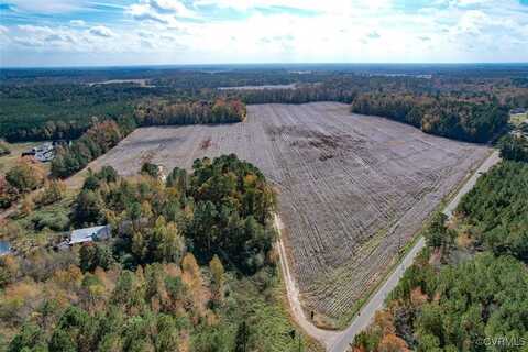 77 Acres Martin Luther King Highway, Waverly, VA 23890