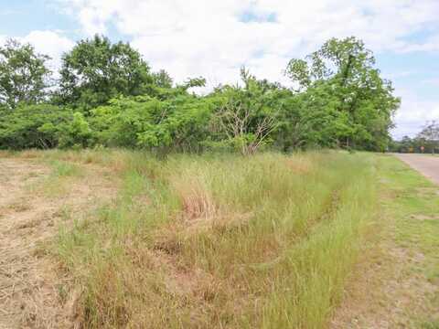 000 36 Acres Rice Road, Taylor, AL 36301