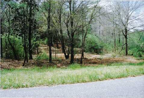 0 County Road 11 Lot 14, Headland, AL 36345