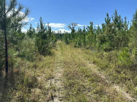 Parcel A Millside Road, Laurel Hill, FL 32567