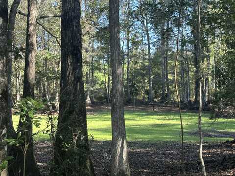 238 Ac +/- Millside Road, Laurel Hill, FL 32567