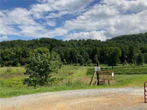 1772 Whitepath Road, Ellijay, GA 30540