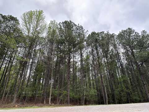 1-e RIDGE Road, Appling, GA 30802