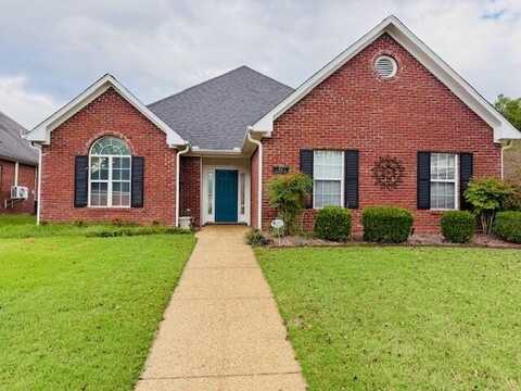 100 Lionheart Ln, Starkville, MS 39759