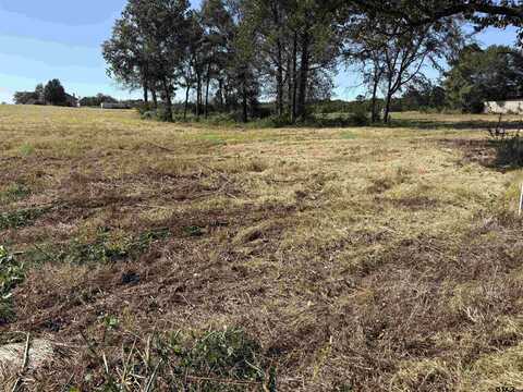 1.675 ACRES tbd COUNTY ROAD 2169, Troup, TX 75789