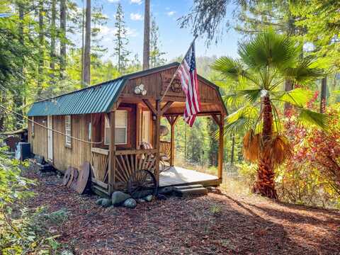 1000 Elk Creek Road, Myers Flat, CA 95554