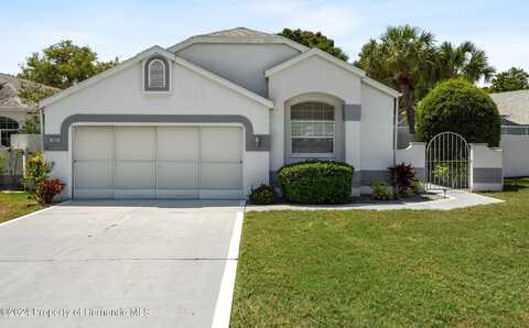 11032 Via De Rosa Lane, Spring Hill, FL 34608