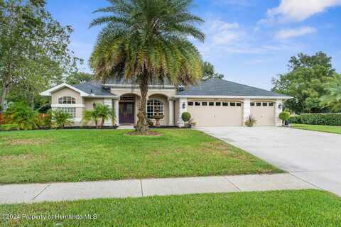 426 Romine Court, Spring Hill, FL 34609