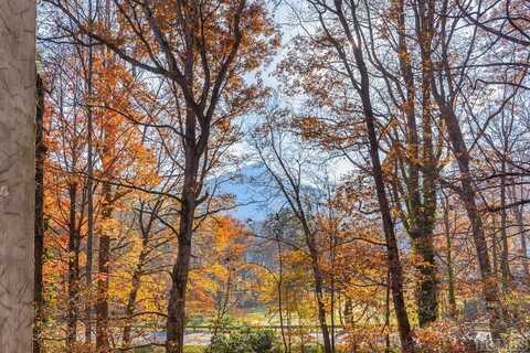 96-2c Dogwood Knob Lane, Sapphire, NC 28774