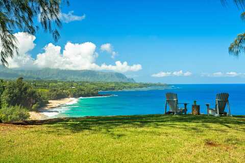3700 KILAUEA RD, KILAUEA, HI 96754