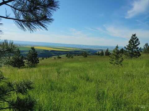 Lot B Forsman Rd, Lewiston, ID 83501