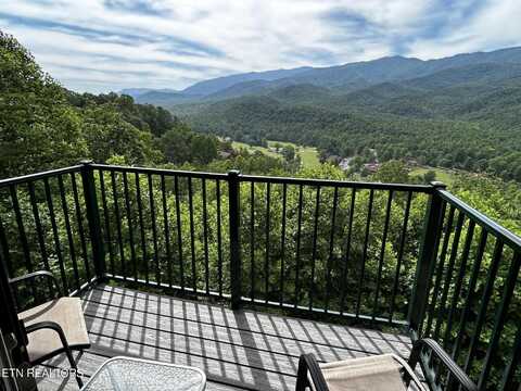 3710 Weber Rd, Gatlinburg, TN 37738