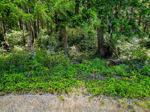 10205 Eckenstam Johnson, Anderson Island, WA 98303