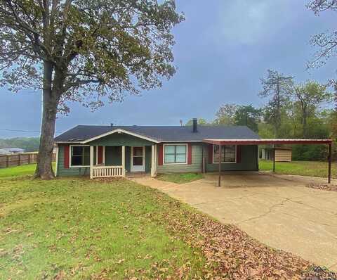 2723 Myrtle Rd, Diana, TX 75640