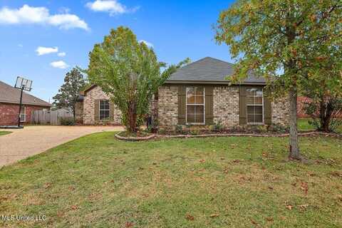 303 Spring Hill Point, Brandon, MS 39047