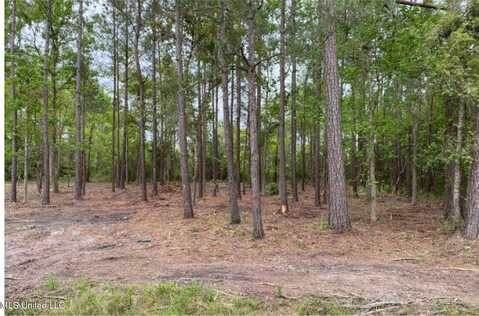 Lot 44 Basswood Drive, Pass Christian, MS 39571