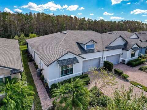 17046 BALANCE COVE, LAND O LAKES, FL 34638