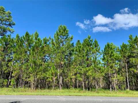 8 JERICHO TRAIL, EUSTIS, FL 32736