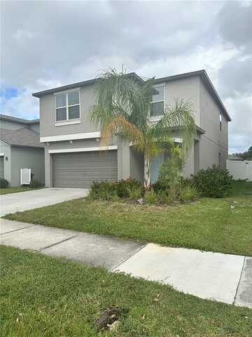 7208 PEARLY EVERLASTING AVENUE, TAMPA, FL 33619