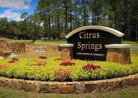 1990 W WATER LILY DRIVE, CITRUS SPRINGS, FL 34434