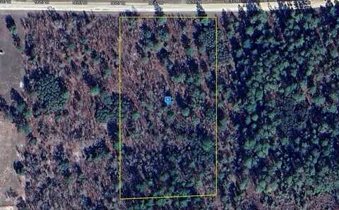 12386 SE 57TH STREET, MORRISTON, FL 32668