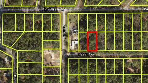 104 HAZEL AVENUE, GEORGETOWN, FL 32139