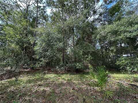 4670 NE 142ND AVENUE, WILLISTON, FL 32696