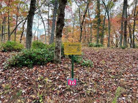Lot 16 Cricket Lane, BRASSTOWN, NC 28902