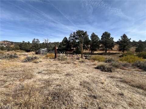 32470 Juniper Trail, Frazier Park, CA 93225