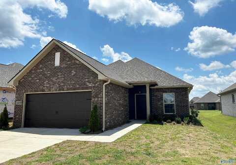 28438 Molly Bee Lane, Toney, AL 35773