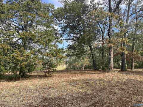 6.78 Acres Matt Morrow Road, Arab, AL 35016