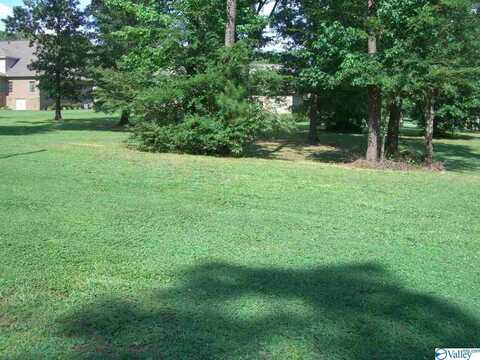 Lot 20 Wisteria Way, Scottsboro, AL 35769