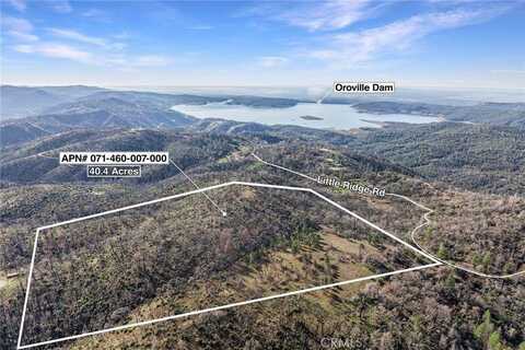 0 Little Ridge Road, Feather Falls, CA 95916