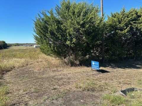 Lot 28 Fm 981, Trenton, TX 75490