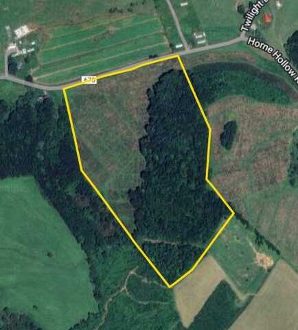 0 Horne Hollow Rd Tract A, Sugar Grove, VA 24375