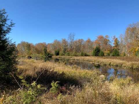 off County Rd 119, Stratford, NY 13470