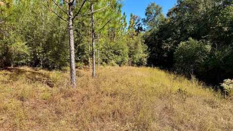 NHN Sullivan Lane, Lucedale, MS 39452