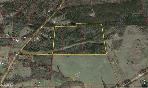 TBD FM 19, PALESTINE, TX 75801