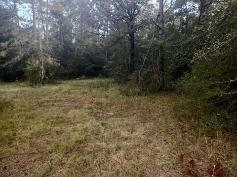 0 George Mitchell Rd., Carriere, MS 39426