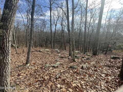 Morgan Court, Lords Valley, PA 18428