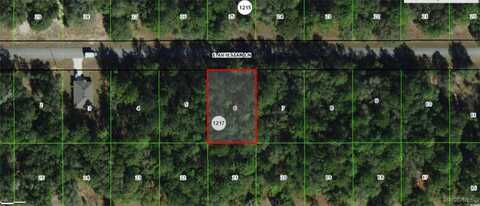 1700 E Artesian Lane, Dunnellon, FL 34434