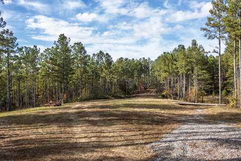 28.74 Ac Green Pond Road, Decatur, TN 37322