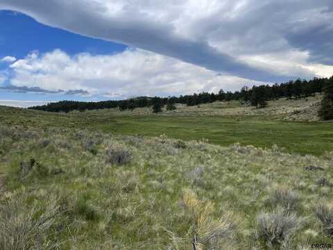 Lot 38 Eagle Valley Road, Westcliffe, CO 81252